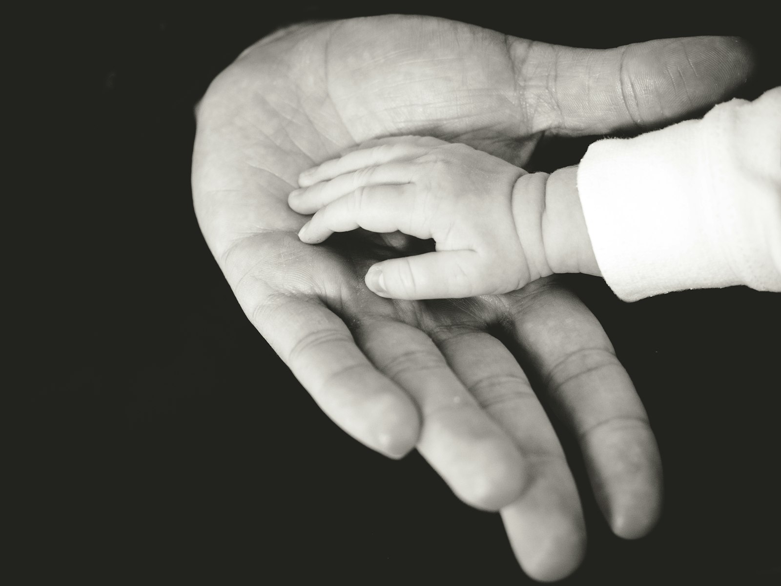 An adult hand holding a baby's hand