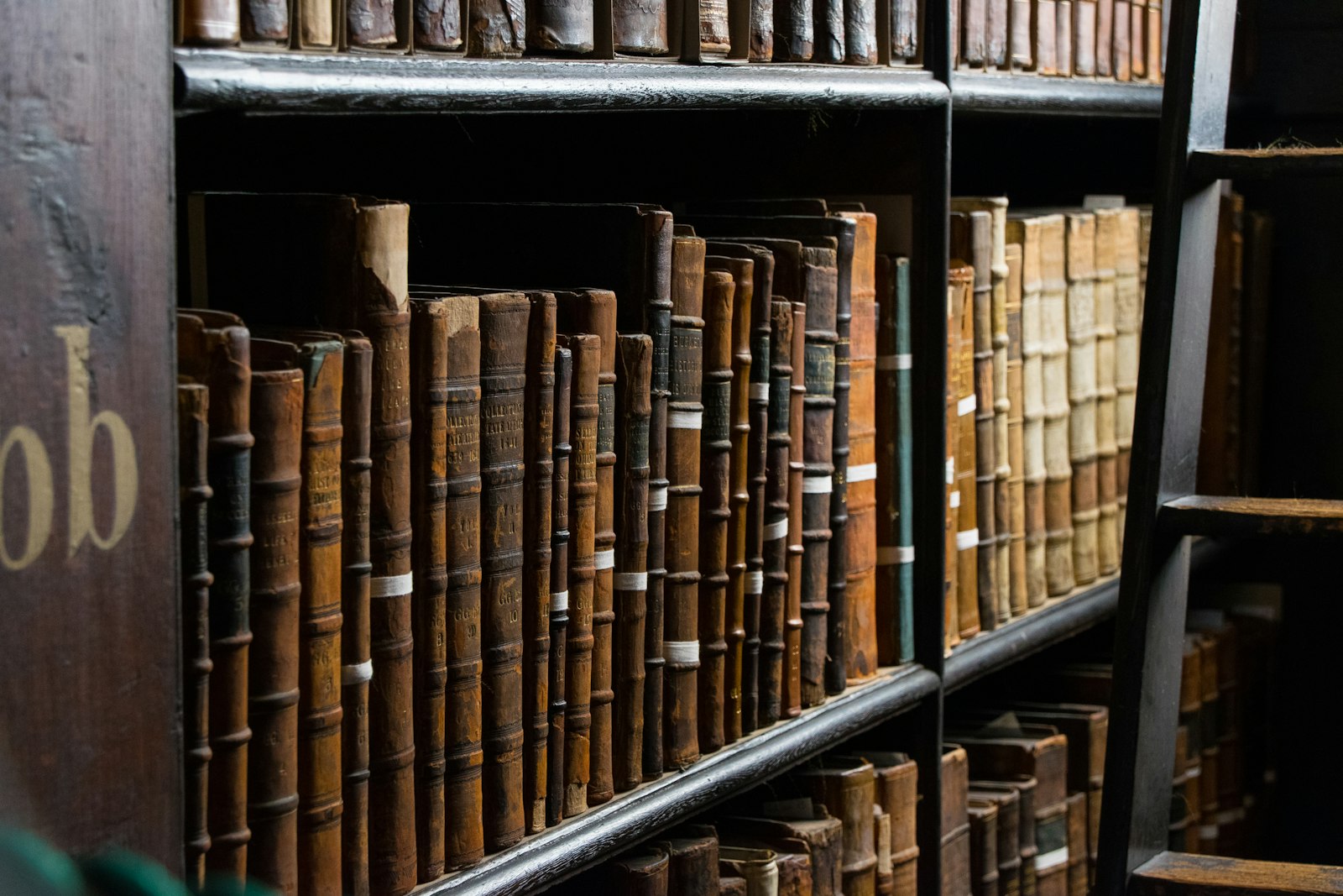 Rows of books in a law library