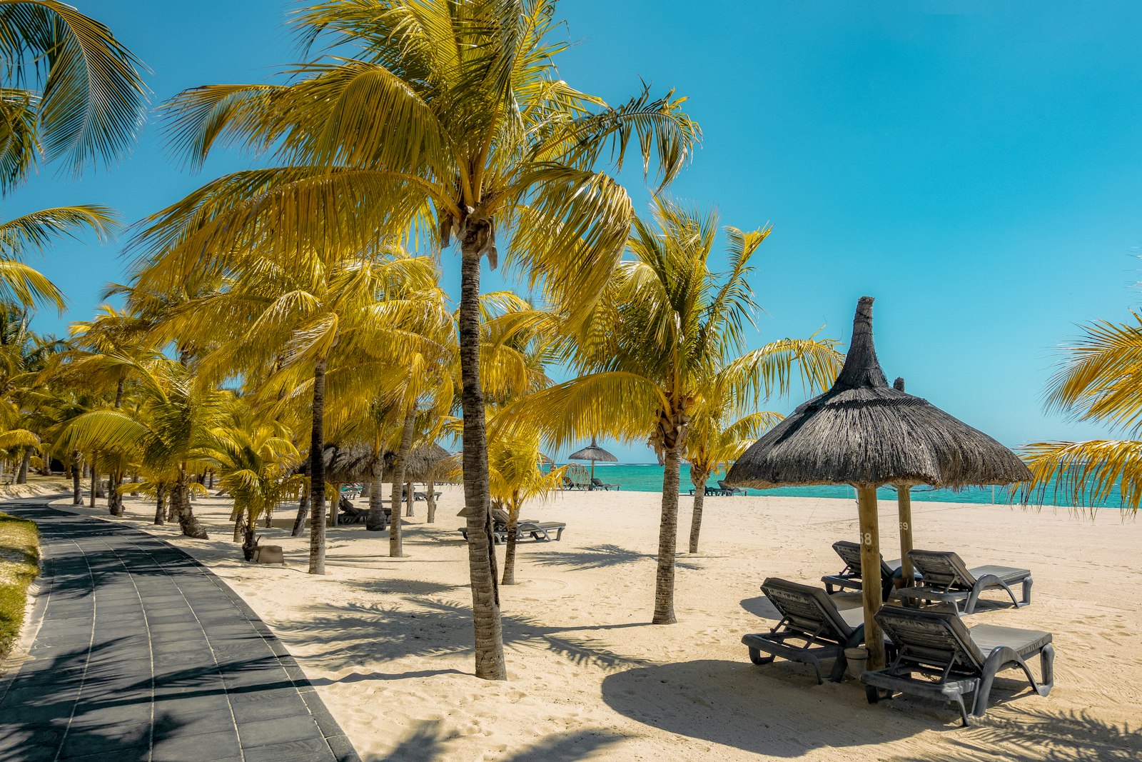 A Mauritian beach and lagoon beneath a palm tree